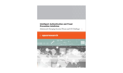 Intelligent Authentication and Fraud Prevention Intelliview