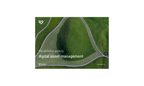 The Definitive Guide to Digital Asset Management